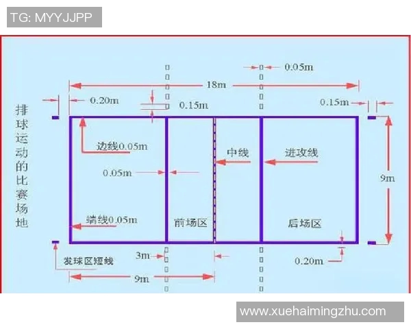 排球盛宴:深入解析成都排球队的战术布局与团队协作技巧 排球盛宴:深入解析成都排球队的战术布局与团队协作技巧