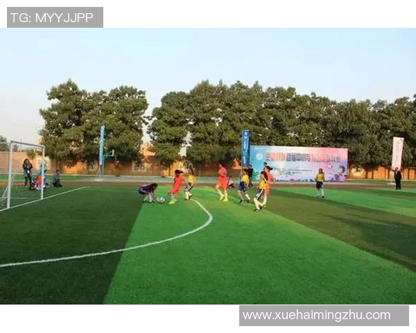 彩虹足球明星的魅力与成就探秘，谁是球场上的闪耀之星