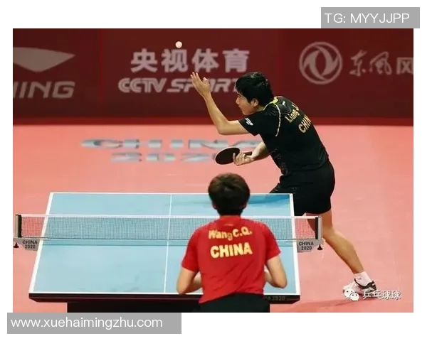 武汉乒乓球队在城市联赛中的战术分析与表现评估