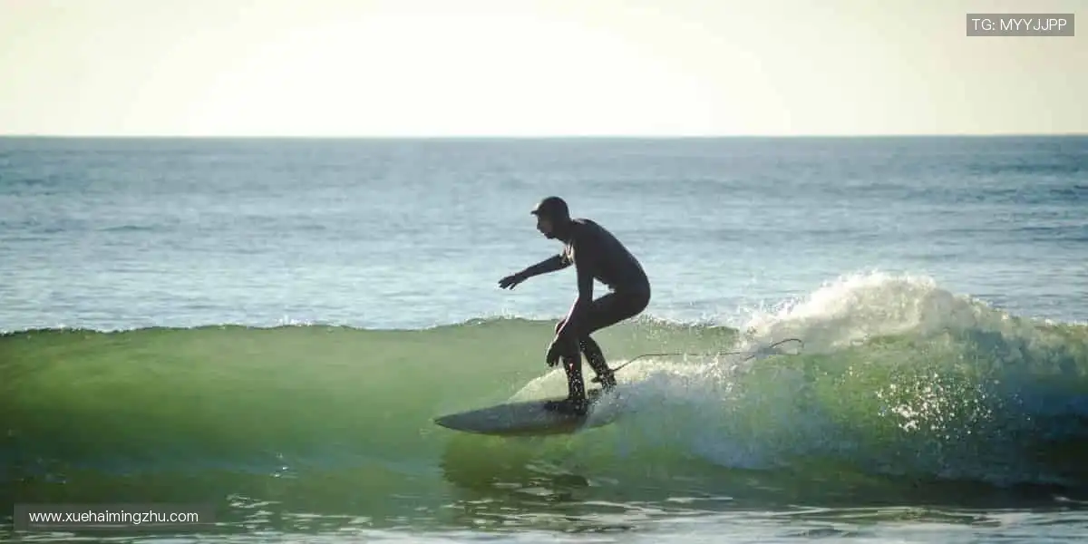 专业解说，深度剖析！🎙️