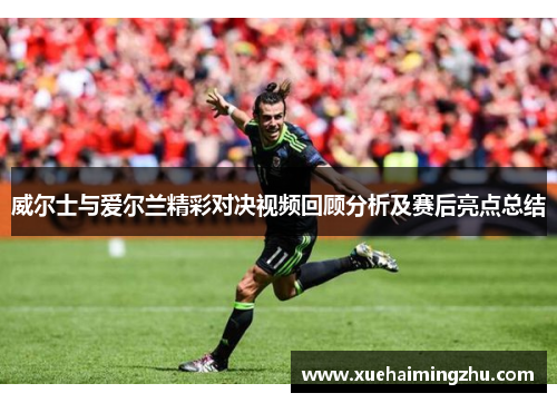 威尔士与爱尔兰精彩对决视频回顾分析及赛后亮点总结